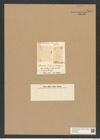 Biddulphia trinacria Bail. L. W. (de-Toni-Nr.: Genus 148, Species 4103) Zeichnungen Sammlung Grunow Nr. 7637 (NHMW-BOT-W0376819)